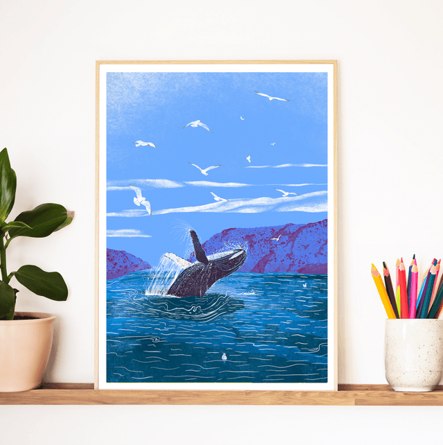 Whale watching 