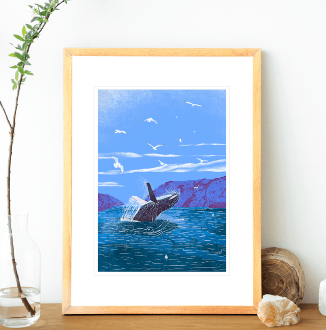 Whale watching 
