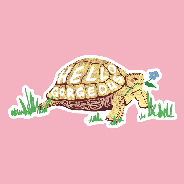 Hello Gorgeous Turtle - Sticker