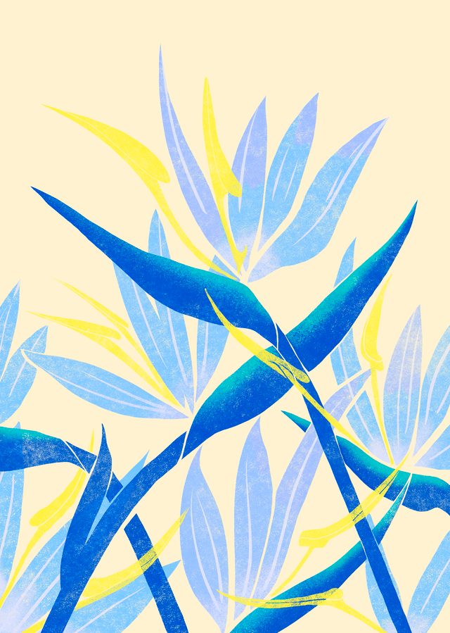 Tropical Flower Print - Bird of Paradise