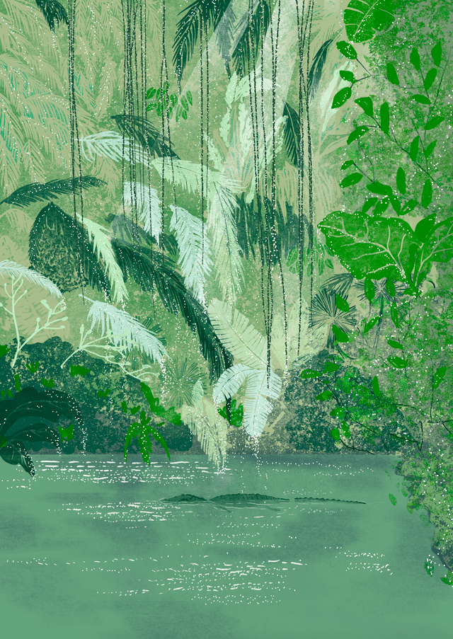 Rainforest