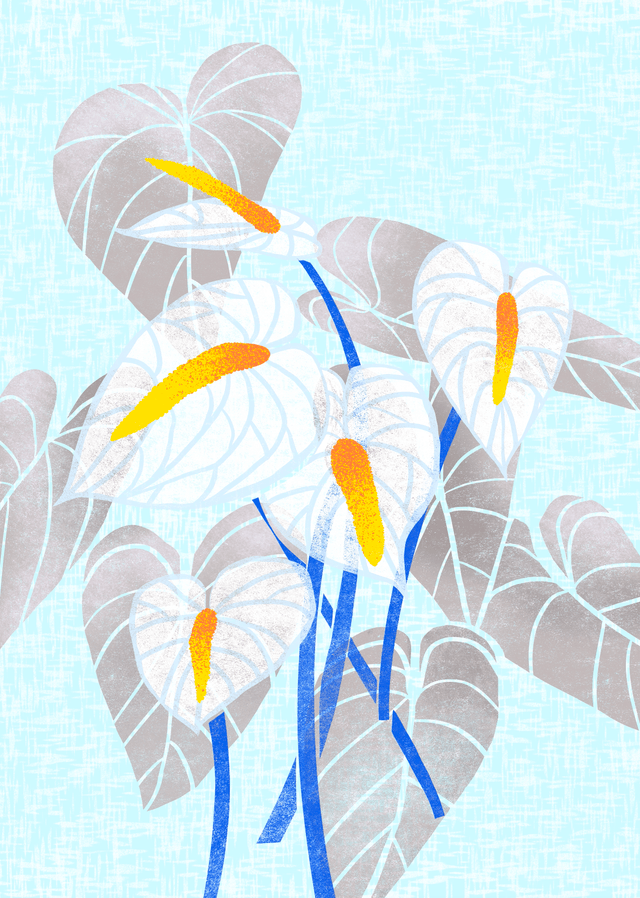 Tropical Flower Print - Anthurium Blue