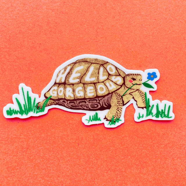 Hello Gorgeous Turtle - Sticker